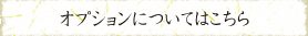 オプションについて